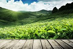 金年会|jinnianhui金年会·(金字招牌)诚信至上官网